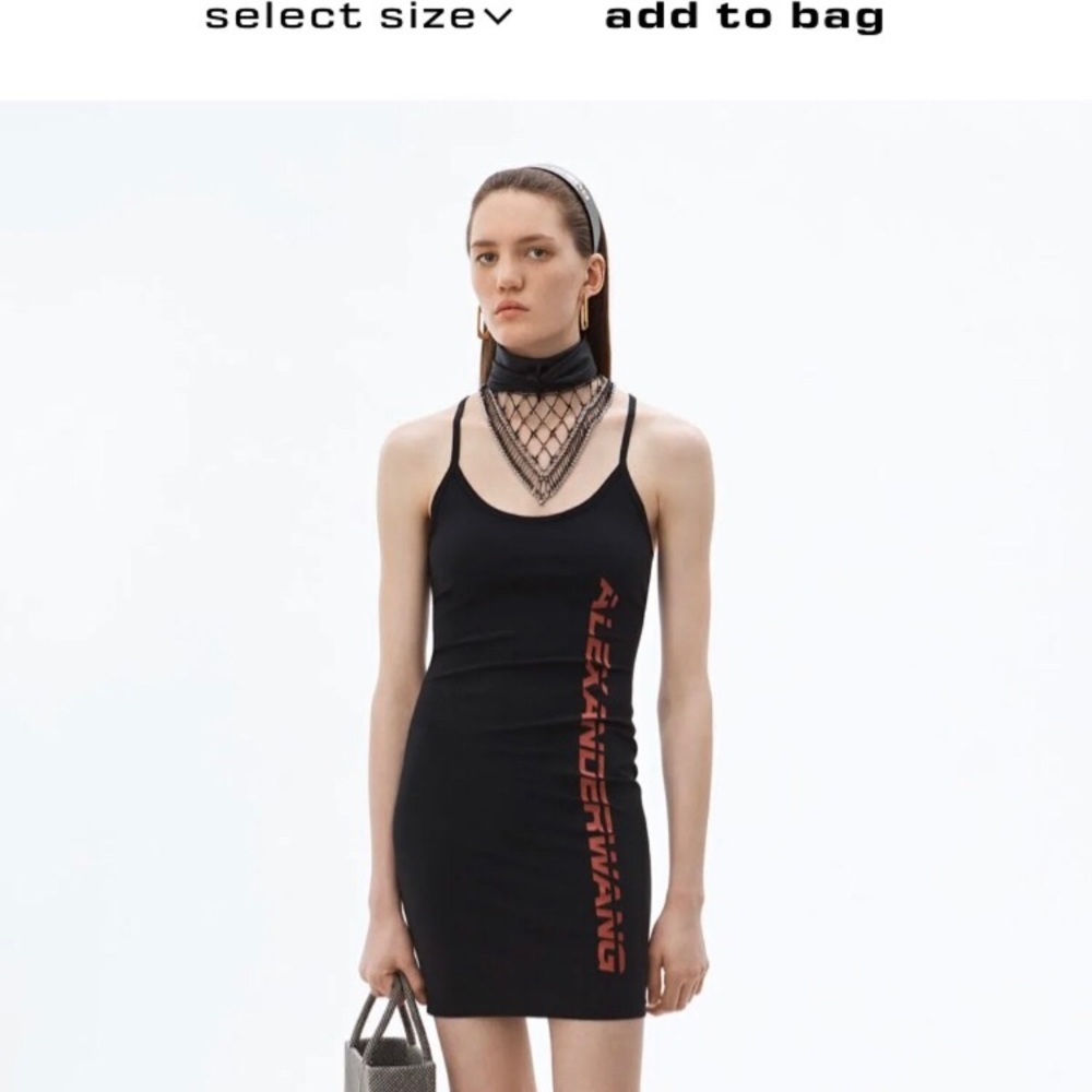 Alexander wang dress